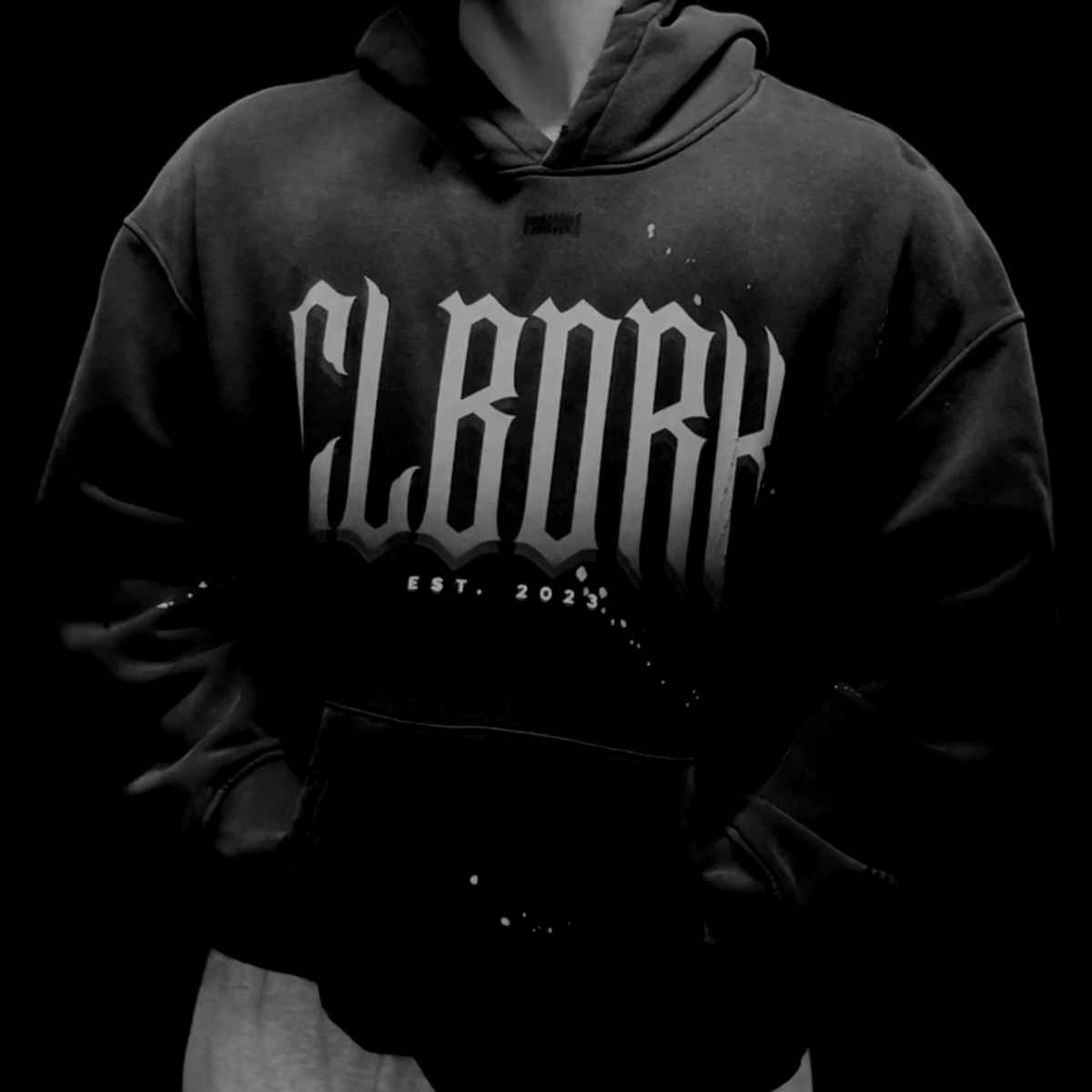 Reign Washed Hoodie